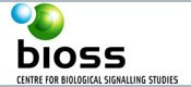 bioss.jpg